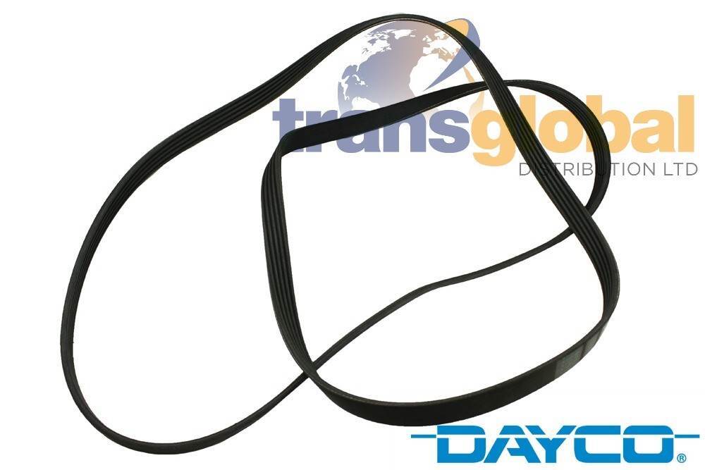 Water Pump & Ancillary Belt for Land Rover Freelander 1 TD4 - DAYCO - PQS101300L - Image 2