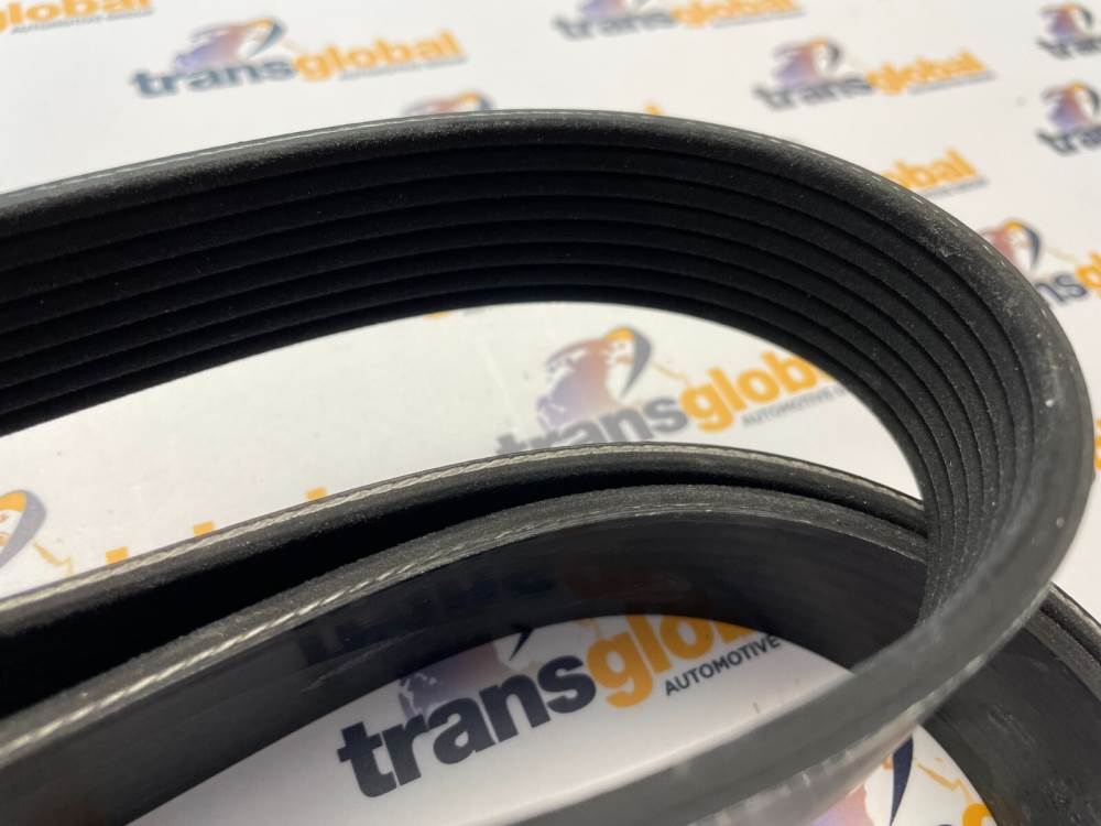 Fan Drive Belt Tensioner for Land Rover Discovery 3 RRS 2.7 TDV6 Dayco INA OEM - Image 5